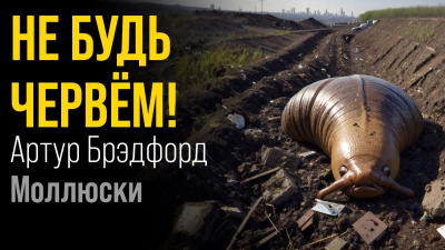 Слушайте бесплатные аудиокниги на русском языке | Audiobukva.com Брэдфорд Артур - Моллюски