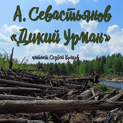 Слушайте бесплатные аудиокниги на русском языке | Audiobukva.com Севастьянов Анатолий - Дикий урман