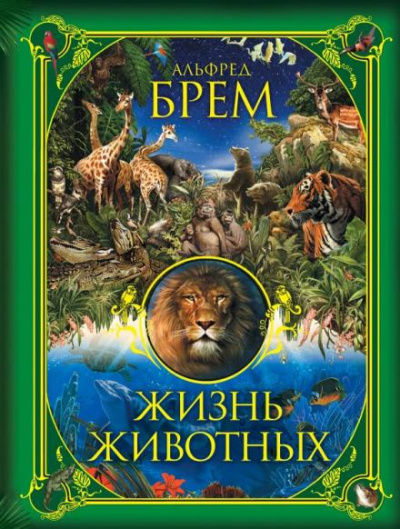 Слушайте бесплатные аудиокниги на русском языке | Audiobukva.com Брэм Альфред - Жизнь животных