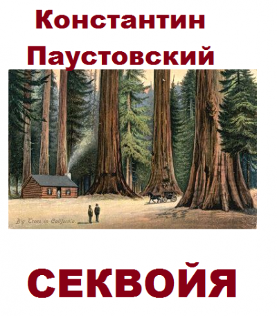 Слушайте бесплатные аудиокниги на русском языке | Audiobukva.com Паустовский Константин - Секвойя