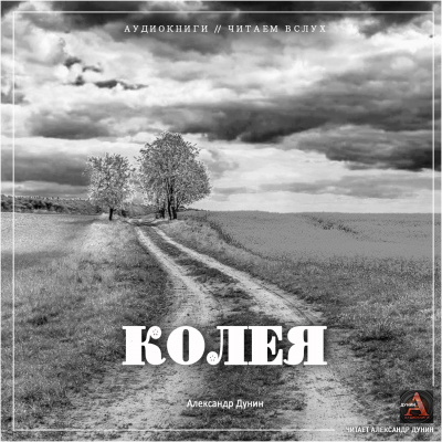 Слушайте бесплатные аудиокниги на русском языке | Audiobukva.com Дунин Александр - Колея