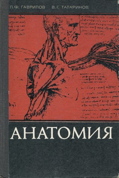 Слушайте бесплатные аудиокниги на русском языке | Audiobukva.com Гаврилов Леопольд, Татаринов Василий - Анатомия