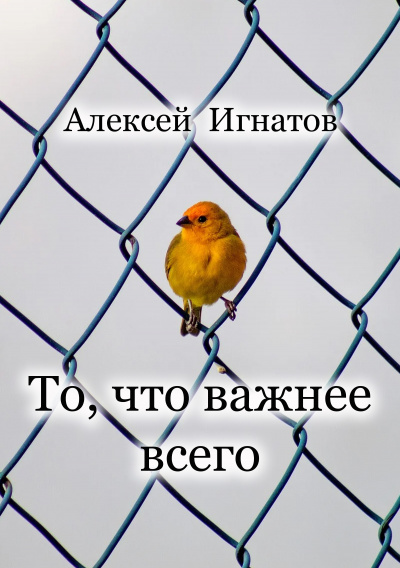 Слушайте бесплатные аудиокниги на русском языке | Audiobukva.com Игнатов Алексей - То, что важнее всего