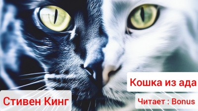 Слушайте бесплатные аудиокниги на русском языке | Audiobukva.com Кинг Стивен - Кошка из ада