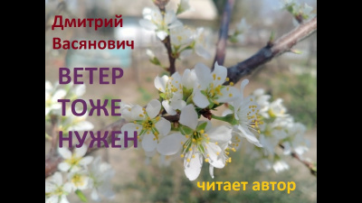Слушайте бесплатные аудиокниги на русском языке | Audiobukva.com Васянович Дмитрий - Ветер тоже нужен