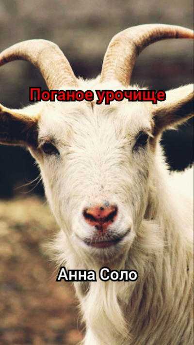 Слушайте бесплатные аудиокниги на русском языке | Audiobukva.com Соло Анна - Поганое урочище