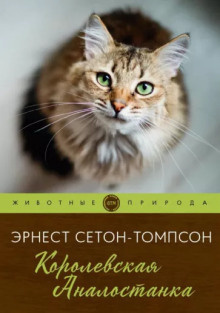 Слушайте бесплатные аудиокниги на русском языке | Audiobukva.com Сетон-Томпсон Эрнест - Королевская Аналостанка