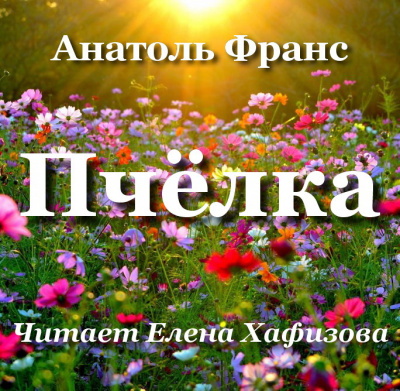 Слушайте бесплатные аудиокниги на русском языке | Audiobukva.com Франс Анатоль - Пчёлка