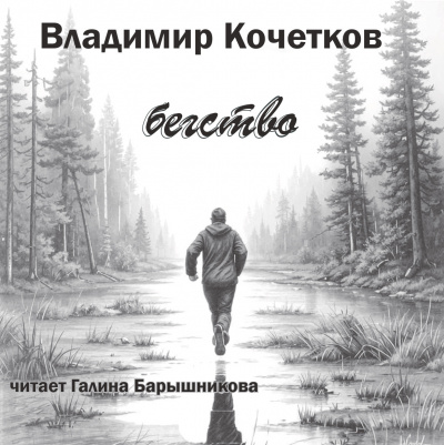 Слушайте бесплатные аудиокниги на русском языке | Audiobukva.com Кочетков Владимир - Бегство