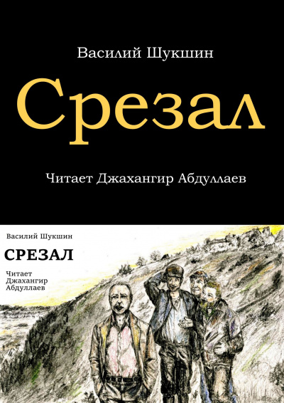 Слушайте бесплатные аудиокниги на русском языке | Audiobukva.com Шукшин Василий - Срезал