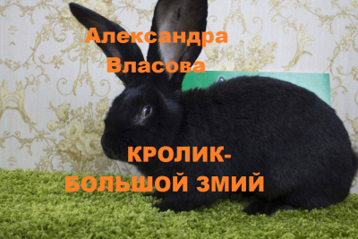 Слушайте бесплатные аудиокниги на русском языке | Audiobukva.com Власова Александра – Кролик- Большой Змий