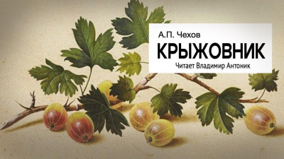 Слушайте бесплатные аудиокниги на русском языке | Audiobukva.com Чехов Антон – Крыжовник