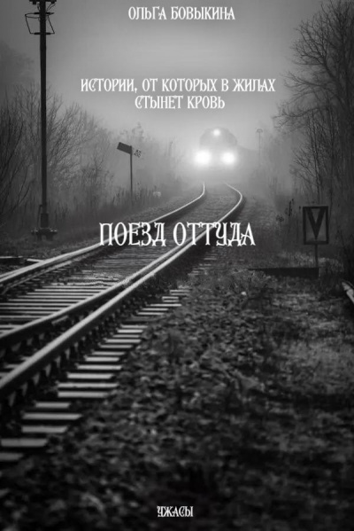 Слушайте бесплатные аудиокниги на русском языке | Audiobukva.com Бовыкина Ольга – Поезд Оттуда
