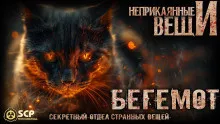 Слушайте бесплатные аудиокниги на русском языке | Audiobukva.com Волкичевский Константин – Бегемот
