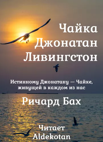 Слушайте бесплатные аудиокниги на русском языке | Audiobukva.com Бах Ричард – Чайка по имени Джонатан Ливингстон