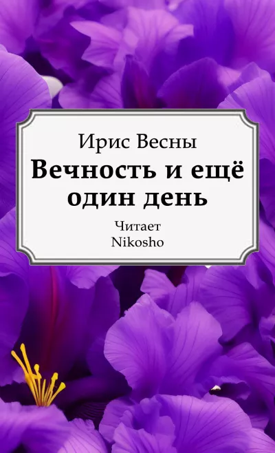Слушайте бесплатные аудиокниги на русском языке | Audiobukva.com Ирис Весны – Вечность и ещё один день