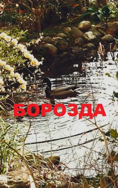 Слушайте бесплатные аудиокниги на русском языке | Audiobukva.com Сысоев Ерофим – Борозда