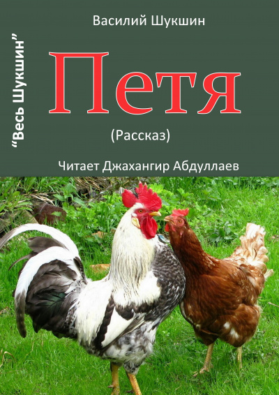 Слушайте бесплатные аудиокниги на русском языке | Audiobukva.com Шукшин Василий – Петя