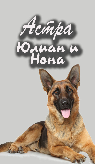 Слушайте бесплатные аудиокниги на русском языке | Audiobukva.com Астра – Юлиан и Нона