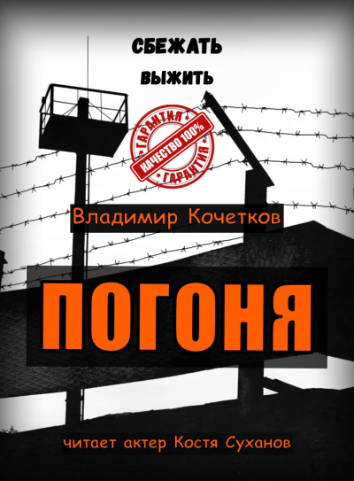 Слушайте бесплатные аудиокниги на русском языке | Audiobukva.com Кочетков Владимир – ПОГОНЯ
