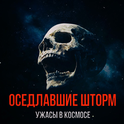 Слушайте бесплатные аудиокниги на русском языке | Audiobukva.com Лугинин Виктор – Оседлавшие Шторм