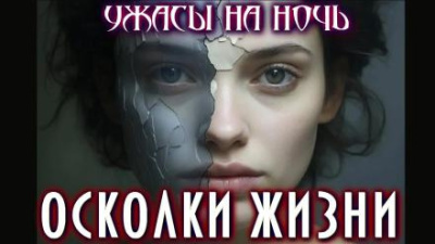 Слушайте бесплатные аудиокниги на русском языке | Audiobukva.com Димерски Мэтт – Осколки жизни