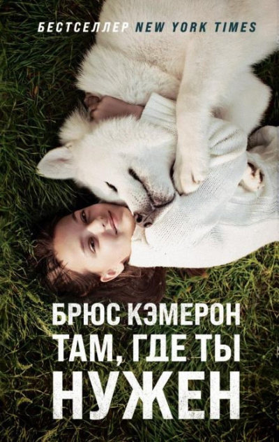 Слушайте бесплатные аудиокниги на русском языке | Audiobukva.com Кэмерон Брюс – Там, где ты нужен