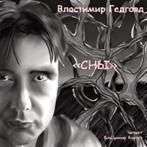 Слушайте бесплатные аудиокниги на русском языке | Audiobukva.com Гедговд Властимир – Серия СНЫ