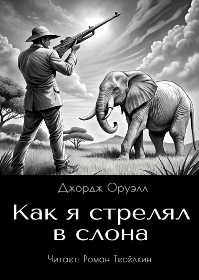 Слушайте бесплатные аудиокниги на русском языке | Audiobukva.com Оруэлл Джордж – Как я стрелял в слона